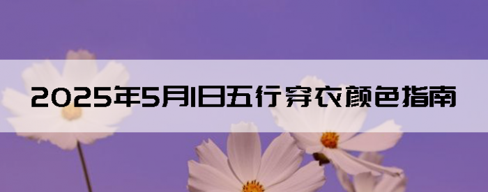 202551дɫָ