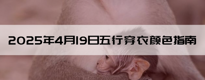 2025419дɫָ
