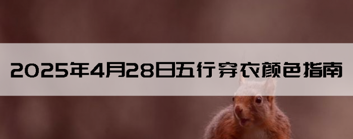 2025428дɫָ