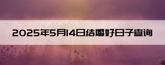 2025514սӲѯ