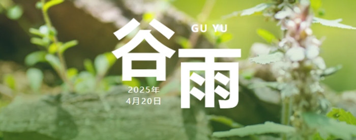 ʱڣ⼸һҪ