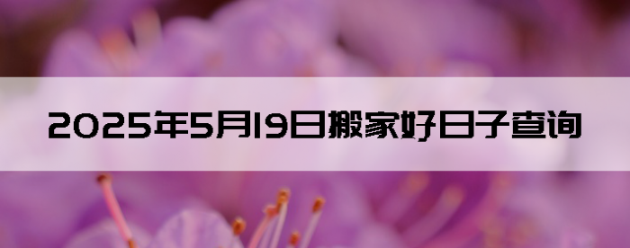 2025519ʺϰ