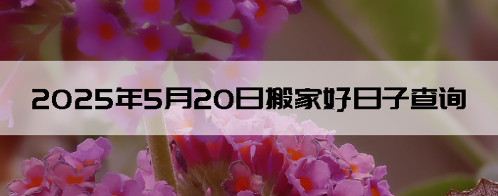 2025520հҺӲѯ
