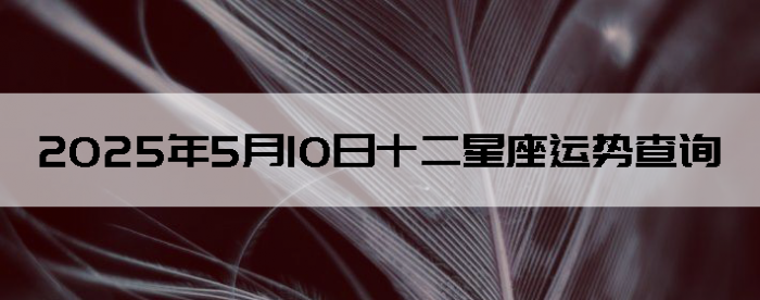 2025510ʮƲѯ