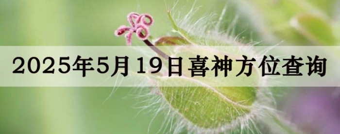 2025519ϲλϸ