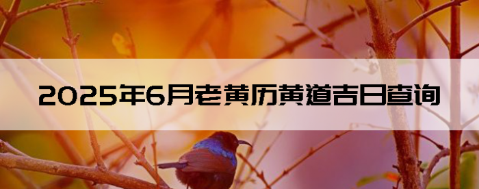 20256ϻƵղѯ