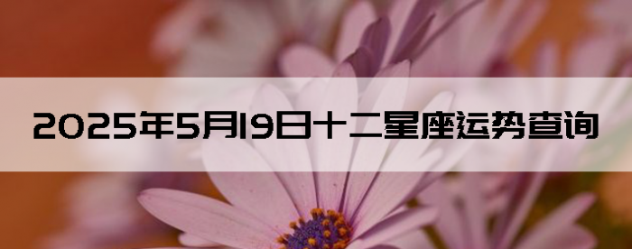 2025519ʮƲѯ