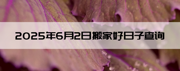 202562ʺϰ