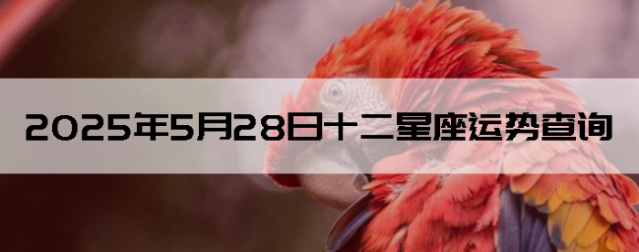 2025528ʮƲѯ