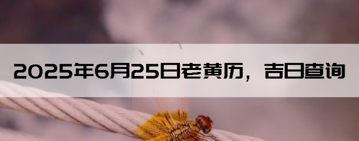 2025625ϻղѯ