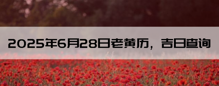 2025628ϻղѯ