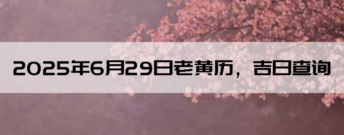 2025629ϻղѯ