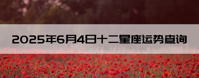 202564ʮƲѯ
