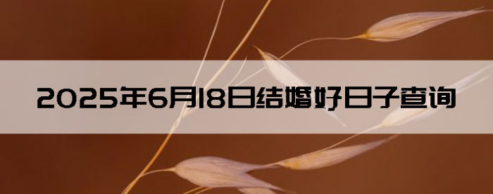 2025618սӲѯ