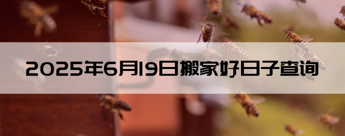 2025619ʺϰ