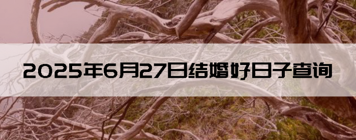 2025627ʺϽ