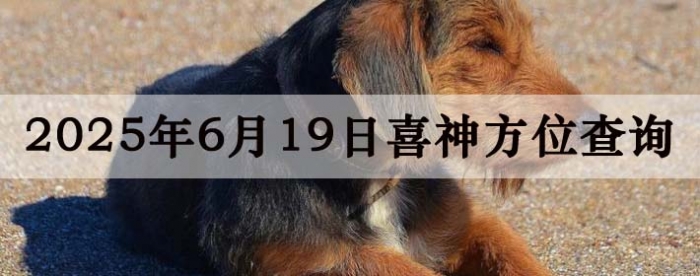 2025619ϲλϸ