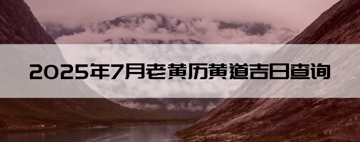 20257ϻƵղѯ