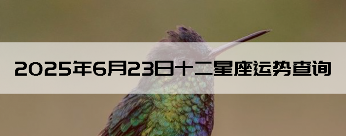 2025623ʮƲѯ