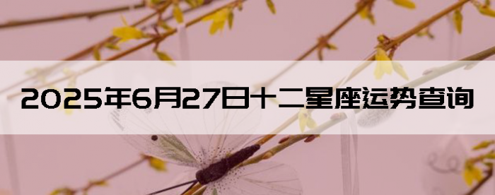 2025627ʮƲѯ