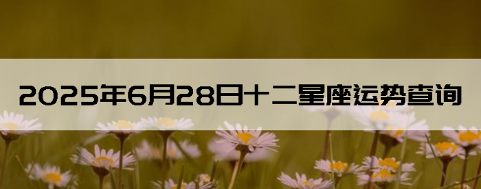 2025628ʮƲѯ