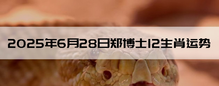 2025628֣ʿ12Ф