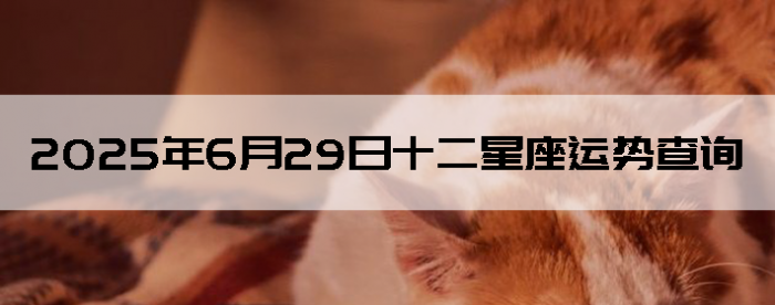 2025629ʮƲѯ