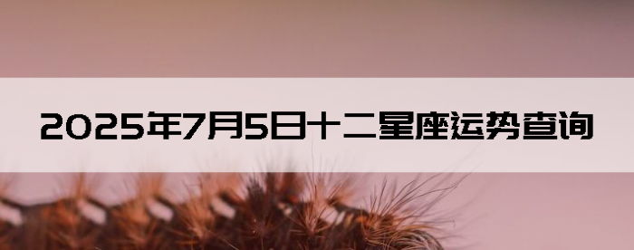 202575ʮƲѯ