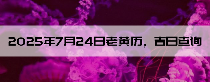 2025724ϻղѯ