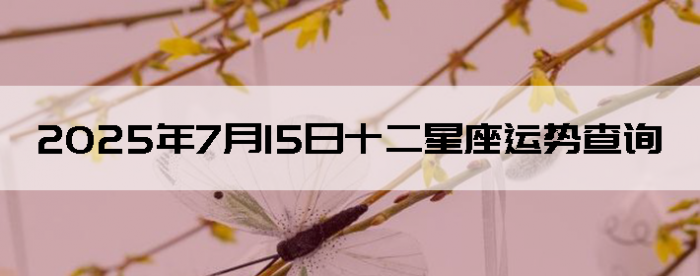 2025715ʮƲѯ