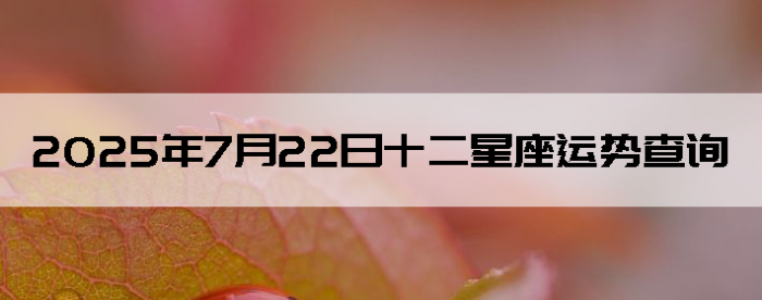 2025722ʮƲѯ