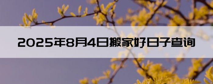 202584ʺϰ