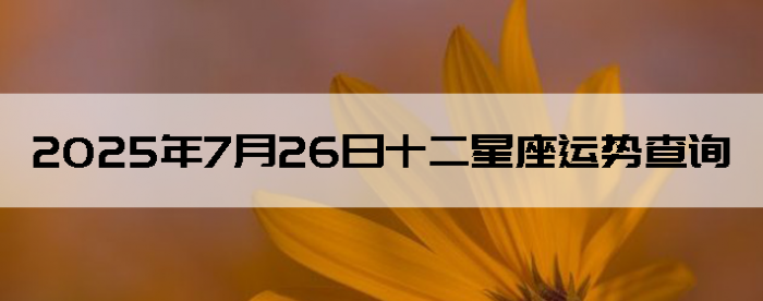 2025726ʮƲѯ