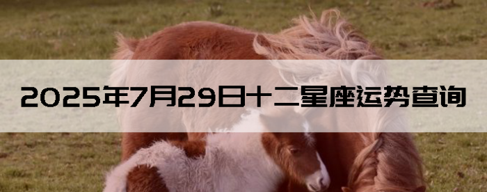 2025729ʮƲѯ