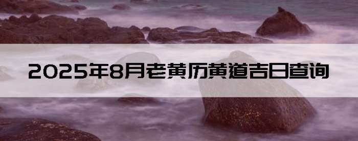 20258ϻƵղѯ