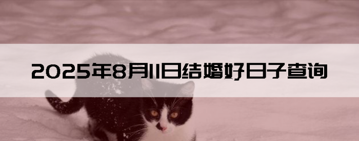 2025811ʺϽ