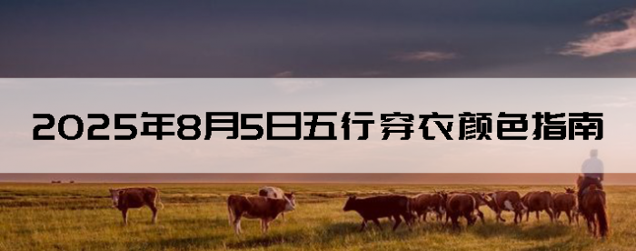 202585дɫָ