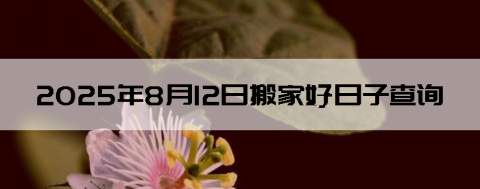 2025812հҺӲѯ