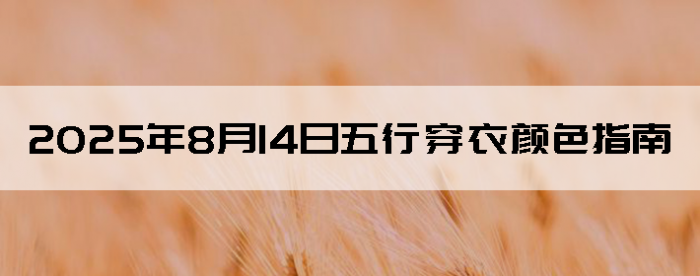 2025814ϻղѯ