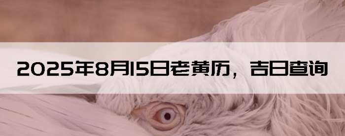 2025815ϻղѯ