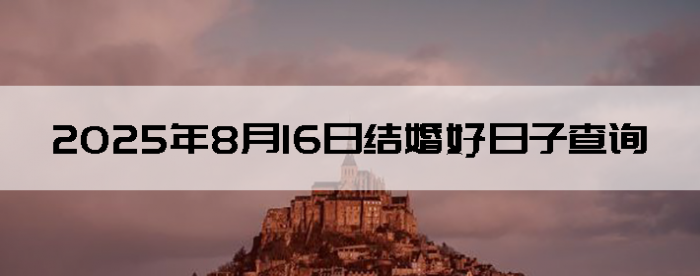 2025816ս鼪