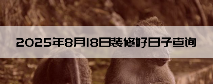 2025818װ޵