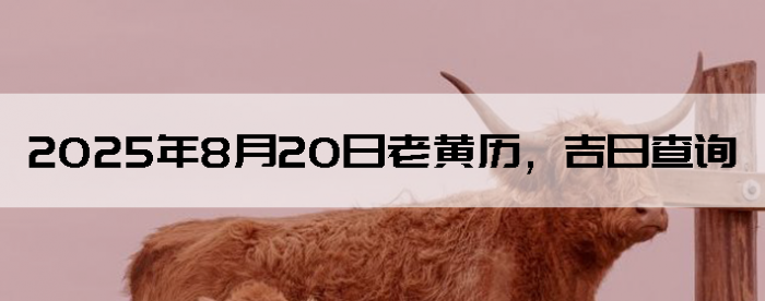 2025820ϻղѯ