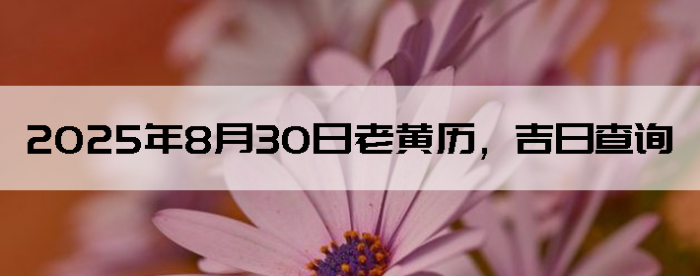 2025830ϻղѯ