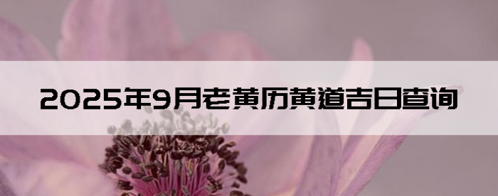 20259ϻƵղѯ