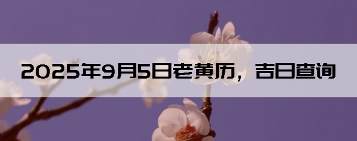 202595ϻղѯ