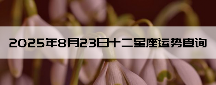 2025823ʮƲѯ