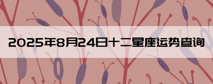 2025824ʮƲѯ