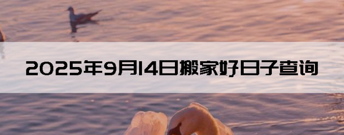2025914ʺϰ