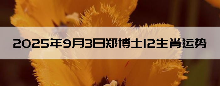 202593֣ʿ12Ф